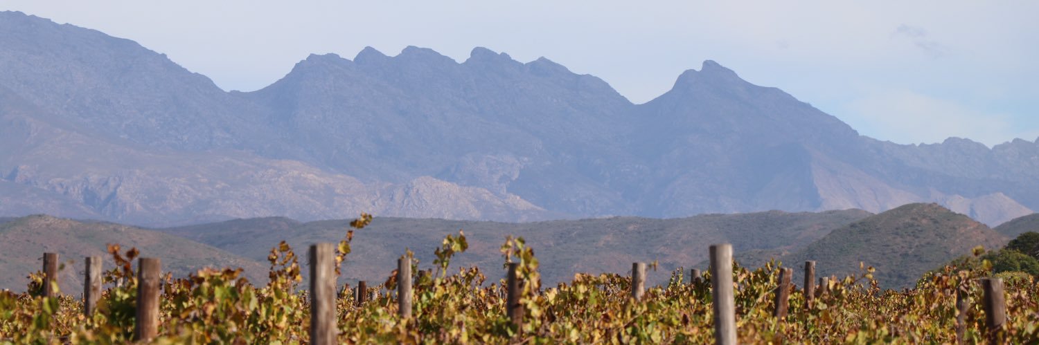 Mark von Bentheim banner