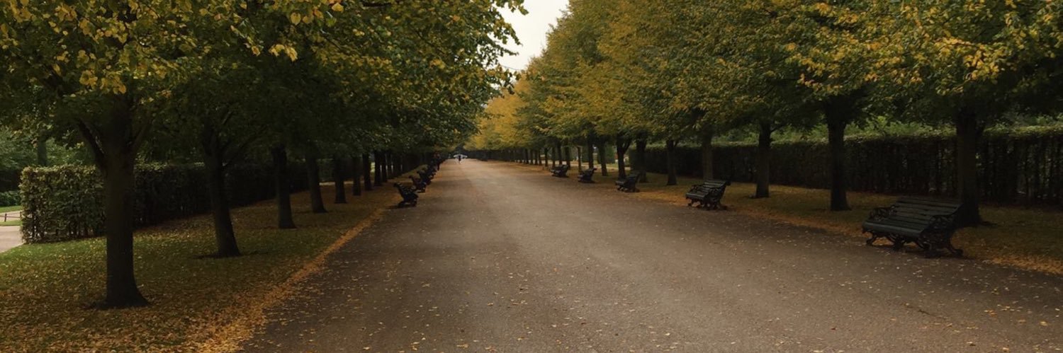 Julián Colla banner