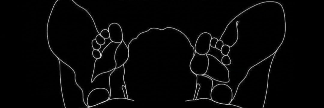 papilakor_npx69 banner