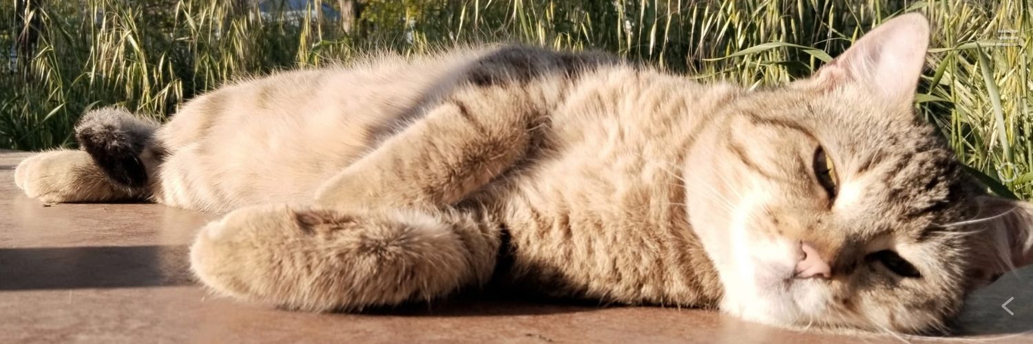 hovarda77's profile banner image
