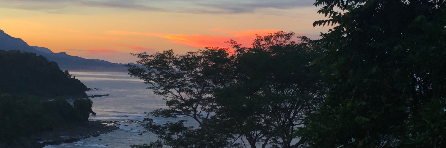 Mickeymama5's profile banner image