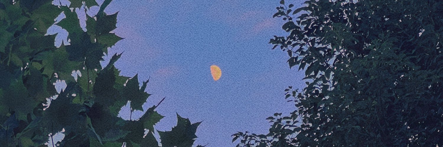OnlyYOLO4Real's profile banner image