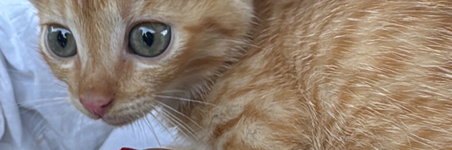 𝚃𝚑𝚎 𝚞𝚗𝚙𝚛𝚘𝚋𝚕𝚎𝚖𝚊𝚝𝚒𝚌 𝚛𝚒𝚛𝚒🙉 banner