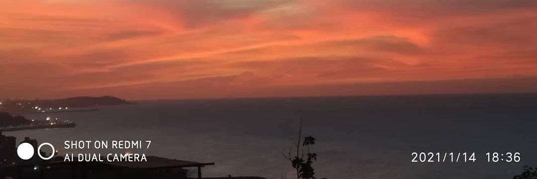 Gabriela  RADA banner