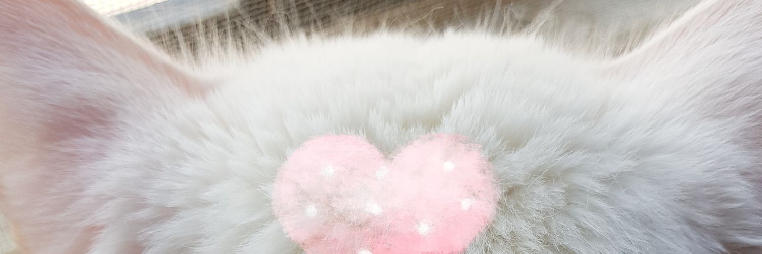STRAWBERRYJAE's profile banner image