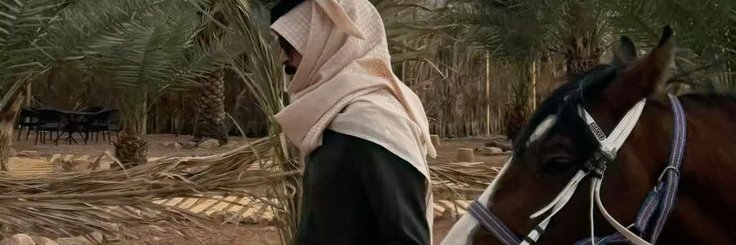 mamdouhdrv2's profile banner image