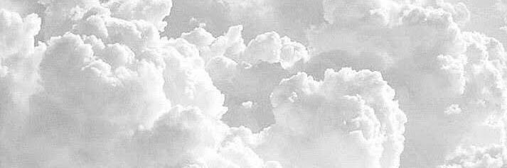 ましゅまろ banner