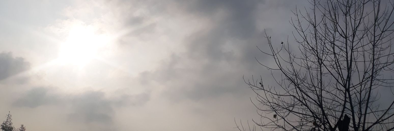 Taha65451296's profile banner image
