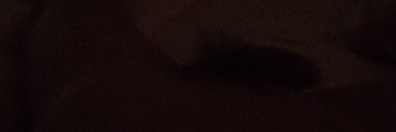 aaronwanglee's profile banner image