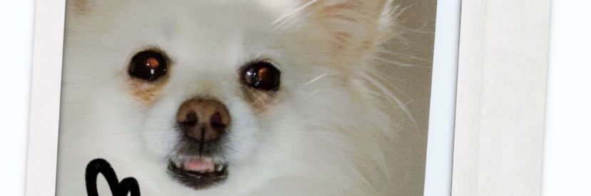 dessesoleil's profile banner image
