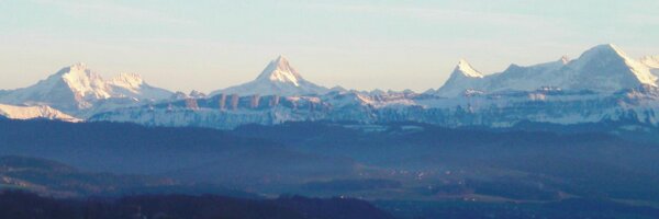 weibeld Profile Banner