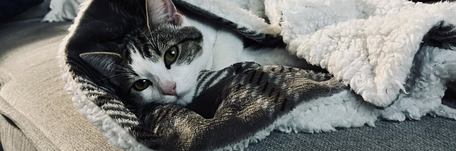 ChrisHas2's profile banner image