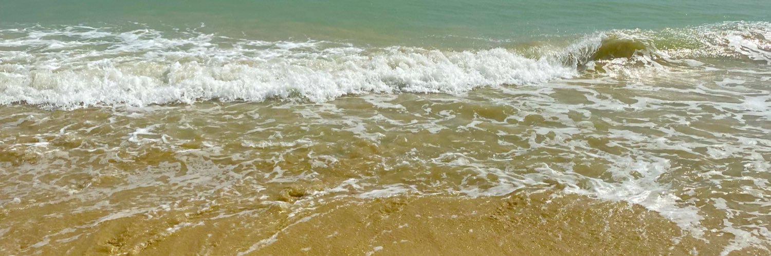 Riddiee's profile banner image