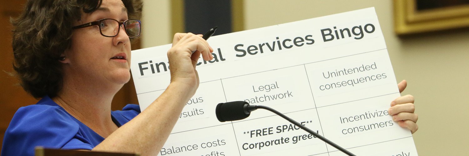 Rep. Katie Porter's banner