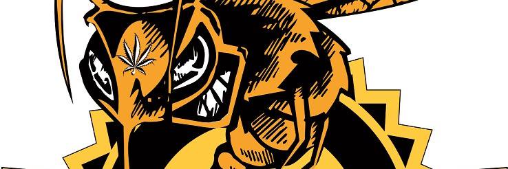 buzzzztech's profile banner image