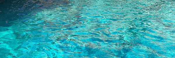 deimsN Profile Banner