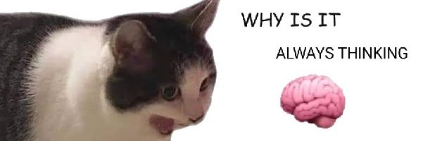 AznCow_'s profile banner image