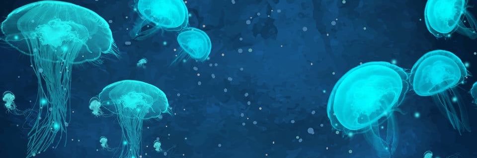 ___delphi's profile banner image