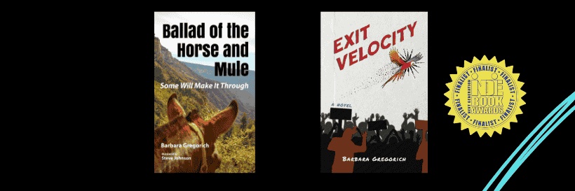 Barbara Gregorich banner