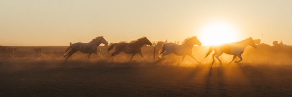 orneryCMB Profile Banner