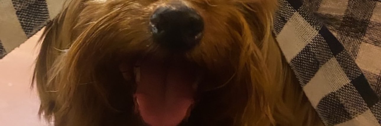 evrudiom's profile banner image