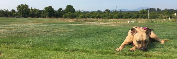 Chas_Schmid Profile Banner