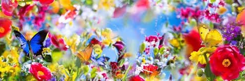 POOsan_PIGRET's profile banner image