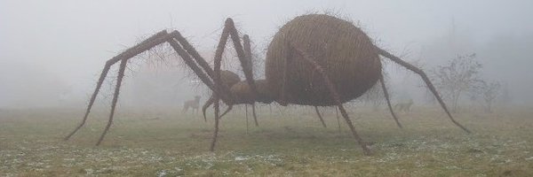 mathieu_dhondt Profile Banner