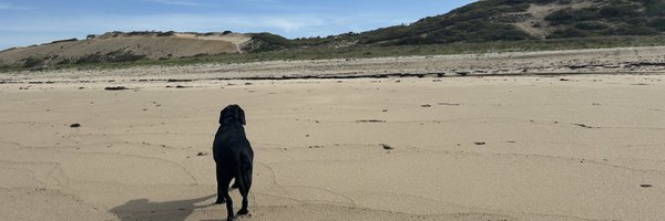 ErinPanczyk Profile Banner