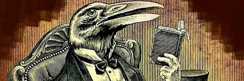 Cuervo Fifí 💀 banner
