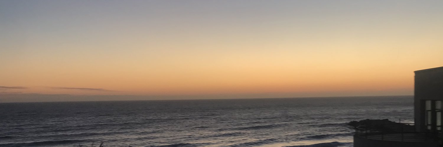 MaleScodellari's profile banner image