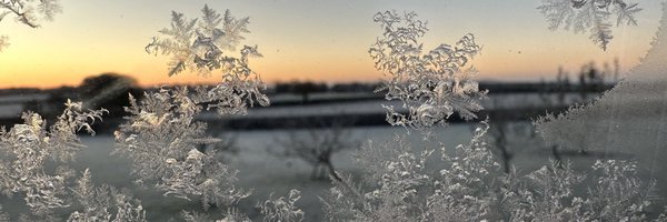 GodofDogs Profile Banner