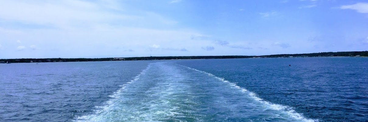 Carlo De Rosa banner