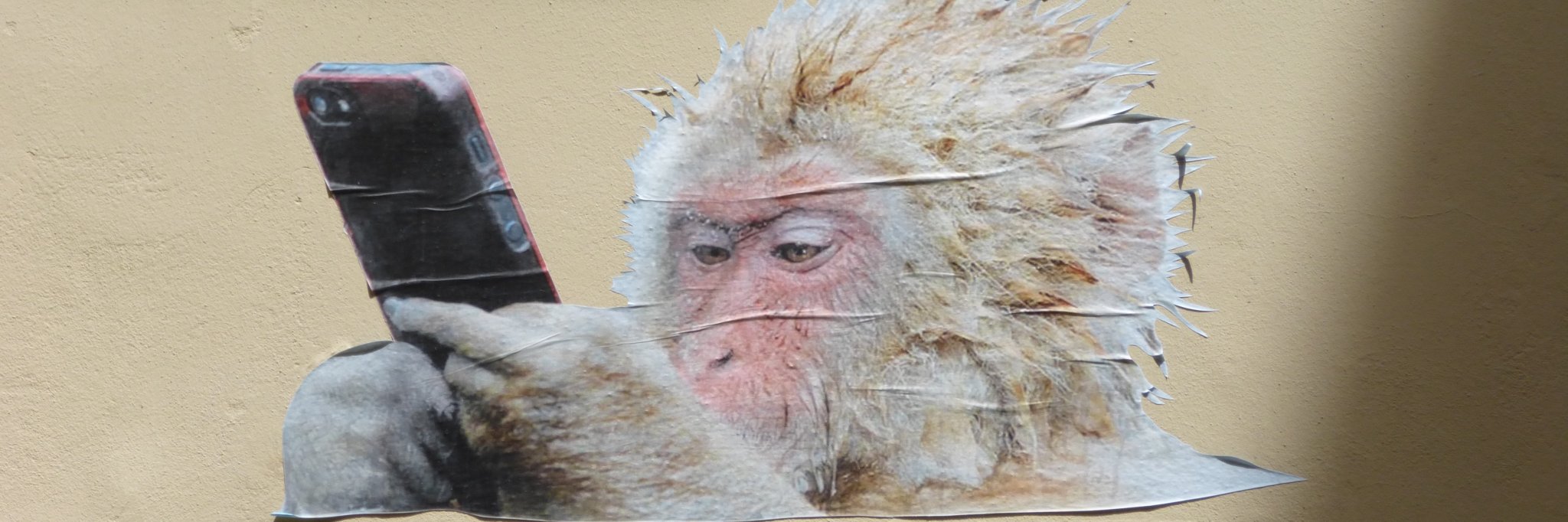 Dirk Stascheit banner