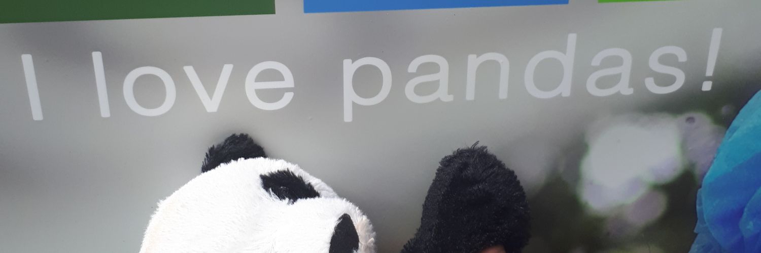 🐼GayleForce🐼 banner