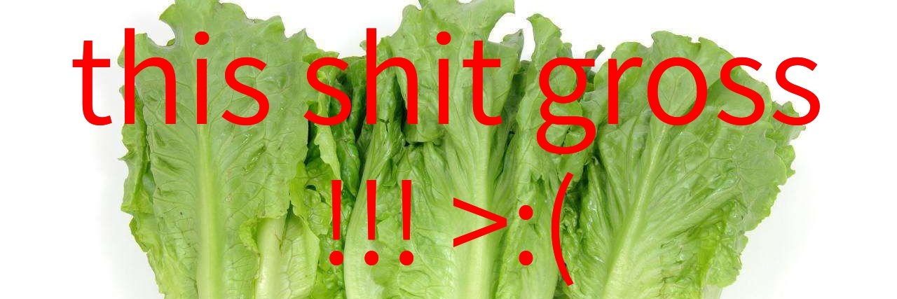 𓆏 lettuce hater 𓆏 banner