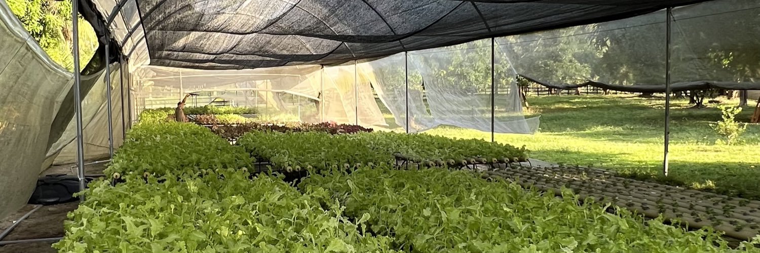 Guillermo Vargas banner