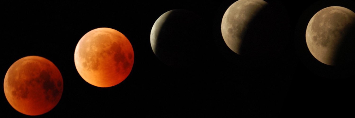 MargotSenden's profile banner image