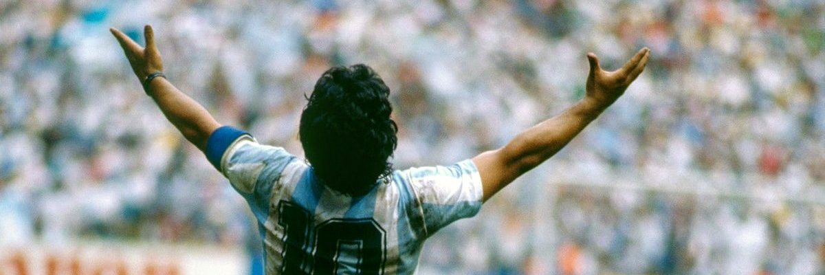 lele_navarro's profile banner image