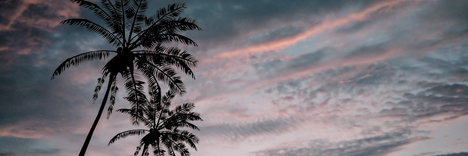 BiancaCataPreta's profile banner image