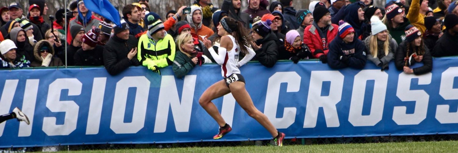 Taylor Werner banner