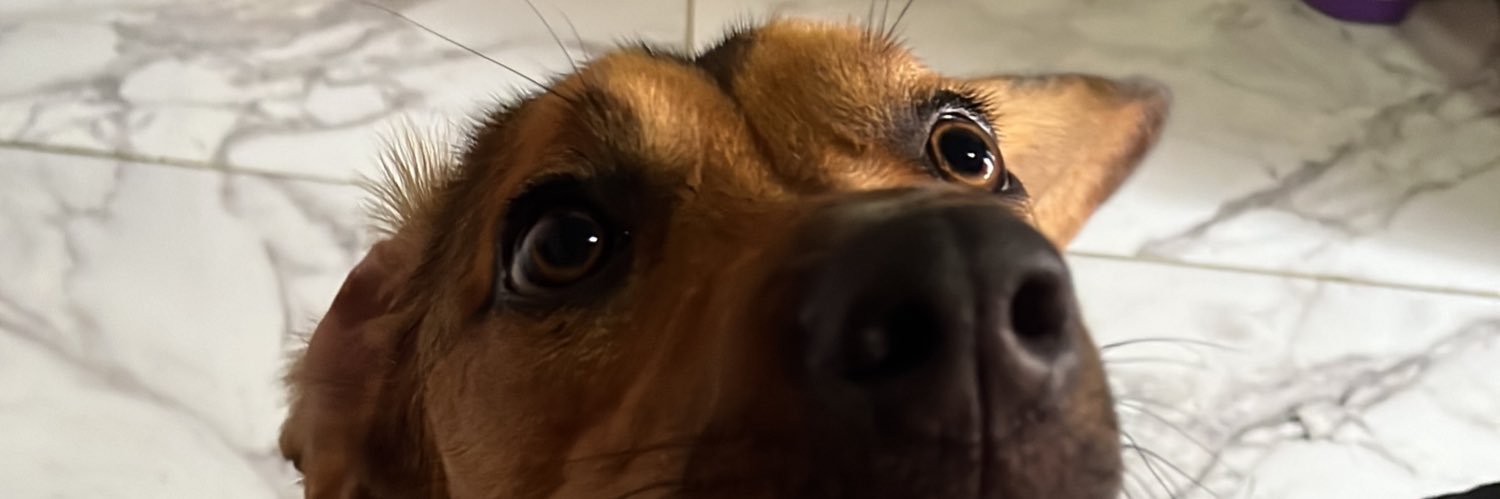 reynerbarquero's profile banner image