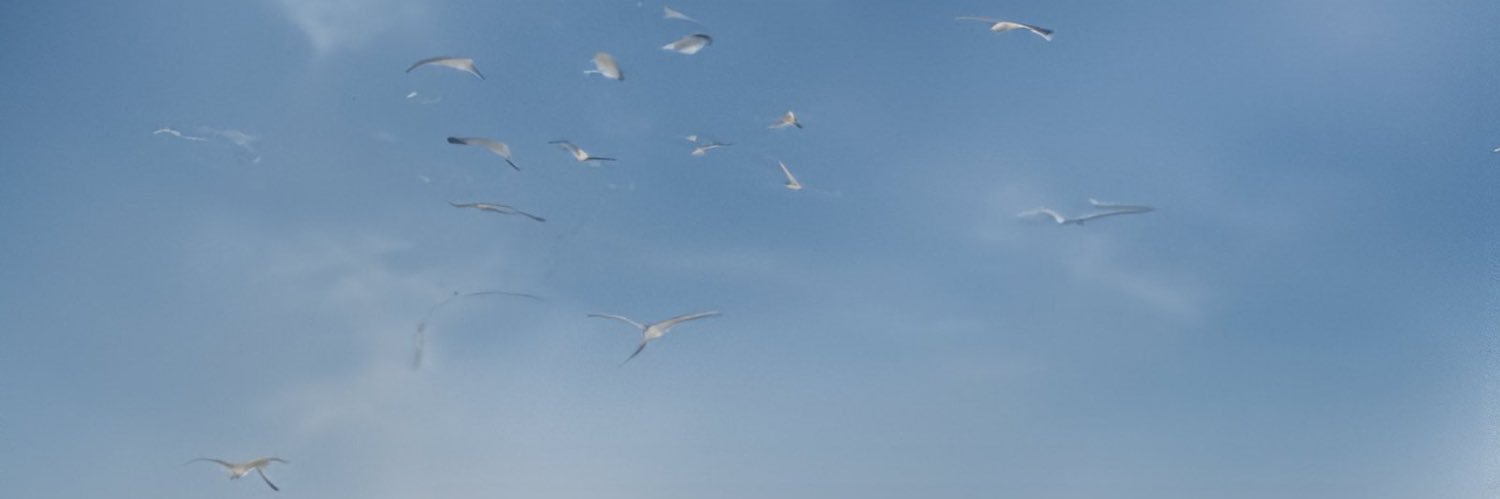 nadelices's profile banner image