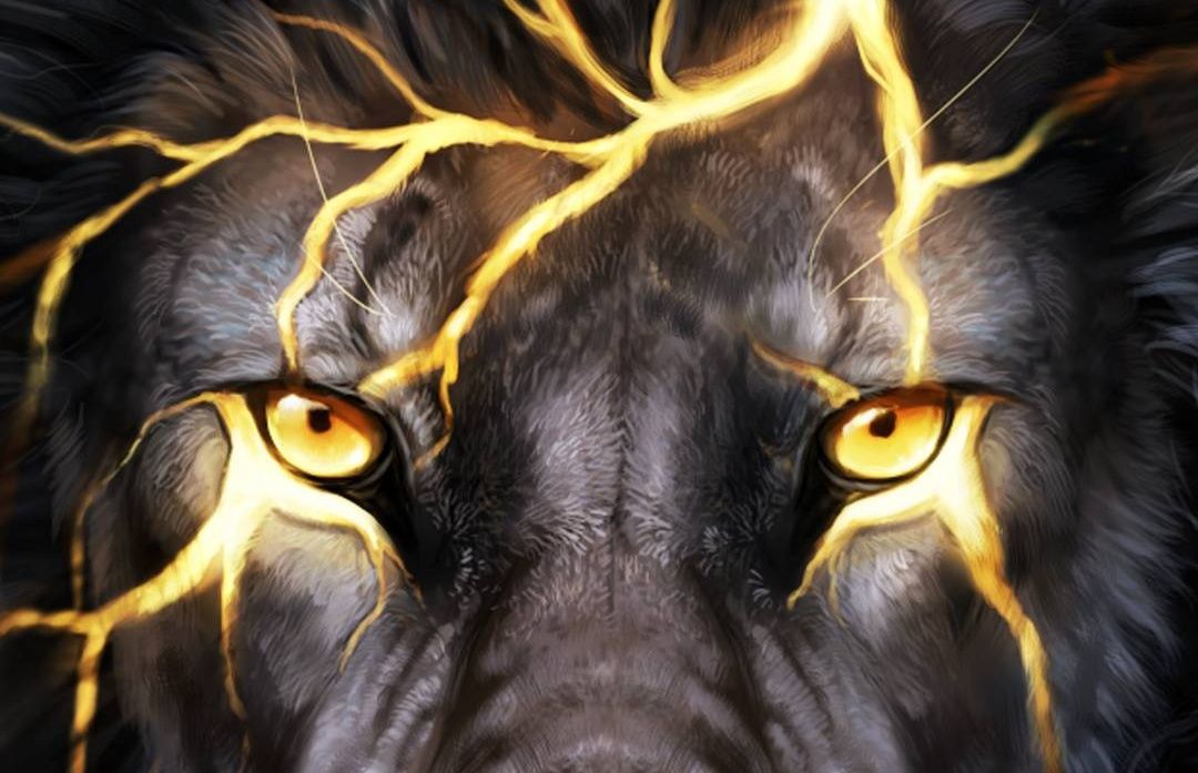 Enes Erdoğan banner