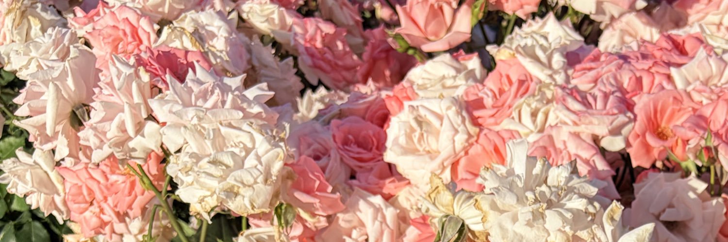 key_1108's profile banner image