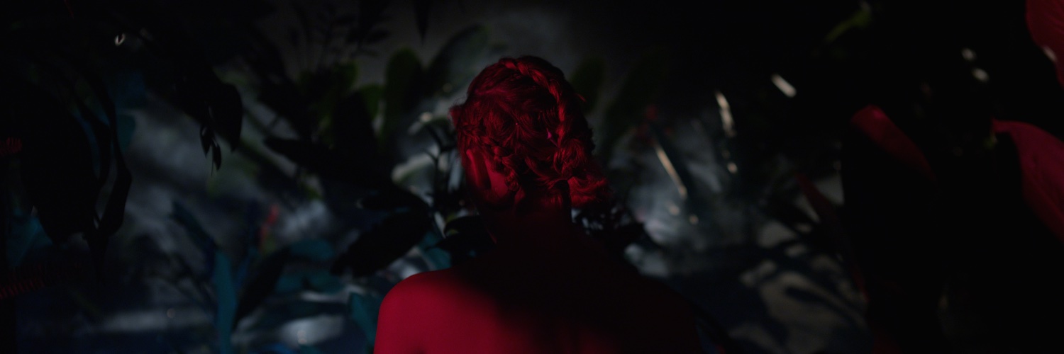 Memomatius's profile banner image