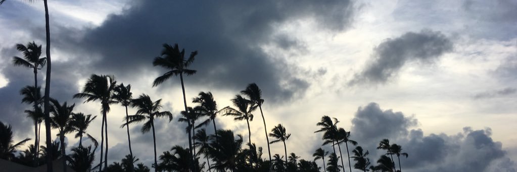 carlee_white's profile banner image