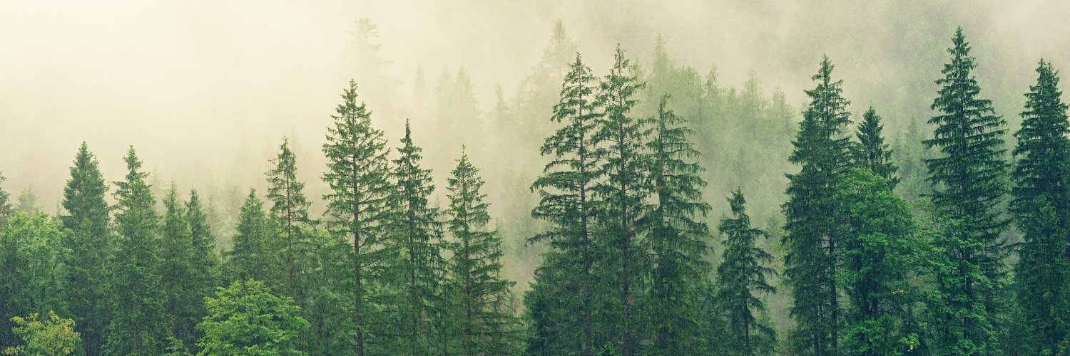 MelCarolCraig's profile banner image