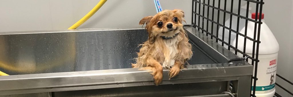 tinymiIas's profile banner image