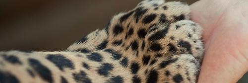 Beel03's profile banner image